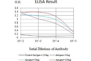 Black line: Control Antigen (100 ng),Purple line: Antigen (10 ng), Blue line: Antigen (50 ng), Red line:Antigen (100 ng) (ATG10 antibody  (AA 1-125))