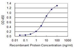 Detection limit for recombinant GST tagged RNF123 is 0. (RNF123 antibody  (AA 1216-1314))
