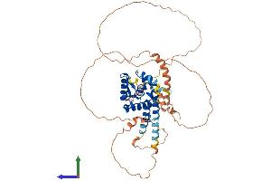 AlphaFold protein structure predicition of Human Recombinant MSL3P1 Protein, UniprotID P0C860 (MSL3P1 Protein (AA 1-447) (His tag))