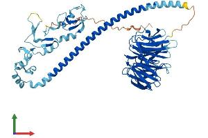 Protein Structure (PS) image for TNF Receptor-Associated Factor 7 (TRAF7) (AA 1-594) protein (His tag) (ABIN7560214)