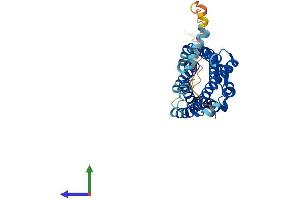 AlphaFold protein structure predicition of Human Recombinant CCR5 Protein, UniprotID P51681