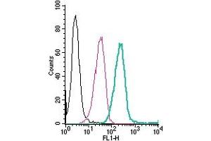 Cell surface detection of Neogenin by direct flow cytometry in live intact human  monocytic leukemia cells: + Rabbit IgG isotype control-FITC.