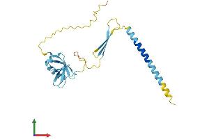 Protein Structure (PS) image for Cell Death-Inducing DFFA-Like Effector B (CIDEB) (AA 1-219) protein (His tag) (ABIN7546515)