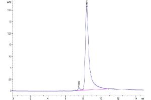 Size-exclusion chromatography-High Pressure Liquid Chromatography (SEC-HPLC) image for Tumor Necrosis Factor (Ligand) Superfamily, Member 15 (TNFSF15) (AA 61-252) protein (His-Avi Tag) (ABIN7274685)
