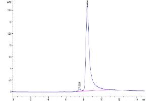 The purity of Mouse TNFSF15 is greater than 95 % as determined by SEC-HPLC. (TNFSF15 Protein (AA 61-252) (His-Avi Tag))