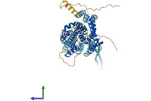 AlphaFold protein structure predicition of Human Recombinant SLC1A4 Protein, UniprotID P43007 (SLC1A4 Protein (AA 1-532) (His tag))