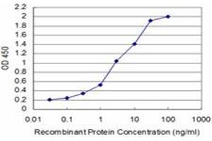 Detection limit for recombinant GST tagged SMAD5 is approximately 0. (SMAD5 antibody  (AA 105-182))