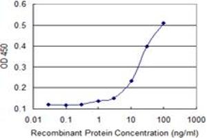 Detection limit for recombinant GST tagged NACA2 is 3 ng/ml as a capture antibody. (NACA2 antibody  (AA 116-215))