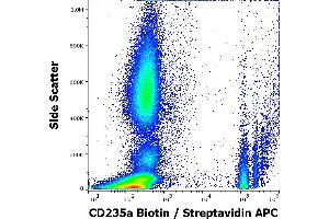 Flow cytometry surface staining pattern of human peripheral whole blood stained using anti-human CD235a (JC159) Biotin antibody (concentration in sample 5 μg/mL, Streptavidin APC). (CD235a/GYPA antibody  (Biotin))