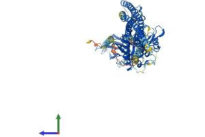 AlphaFold protein structure predicition of Mouse Recombinant Ikbke Protein, UniprotID Q9R0T8 (IKKi/IKKe Protein (AA 1-717) (His tag))