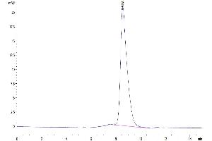 The purity of Mouse GPVI is greater than 95 % as determined by SEC-HPLC. (GP6 Protein (AA 22-265) (His tag))