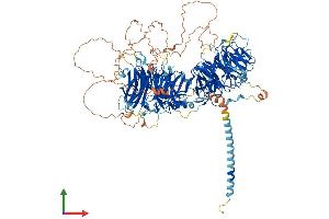 AlphaFold protein structure predicition of Mouse Recombinant Stxbp5l Protein, UniprotID Q5DQR4 (STXBP5L Protein (AA 1-1185) (His tag))