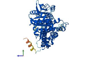 AlphaFold protein structure predicition of Mouse Recombinant Tubb2a Protein, UniprotID Q7TMM9