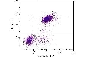 BALB/c mouse splenocytes were stained with Rat Anti-Mouse CD16/32-BIOT. (CD32/CD16 antibody  (Biotin))