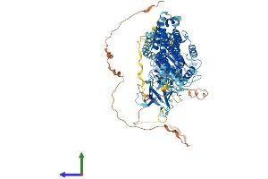 Protein Structure (PS) image for Dynamin 1 (DNM1) (AA 1-864) protein (His tag) (ABIN7553748)