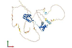 Protein Structure (PS) image for Paired Box 5 (PAX5) (AA 1-391) protein (His tag) (ABIN7556871)