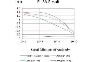 Black line: Control Antigen (100 ng),Purple line: Antigen (10 ng), Blue line: Antigen (50 ng), Red line:Antigen (100 ng) (MDM2 antibody  (AA 26-169))