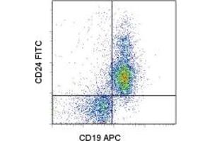 Image no. 1 for anti-CD24 Molecule (CD24) antibody (FITC) (ABIN474792) (CD24 antibody  (FITC))