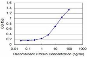 Detection limit for recombinant GST tagged HOXA5 is approximately 0. (HOXA5 antibody  (AA 171-270))