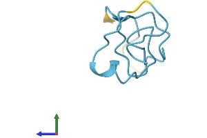 Protein Structure (PS) image for Metallothionein 1M (MT1M) (AA 1-61) protein (Fc Tag) (ABIN7549563)