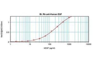Image no. 1 for anti-Epidermal Growth Factor (EGF) antibody (Biotin) (ABIN465856) (EGF antibody  (Biotin))