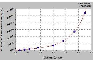 Typical standard curve (ADAM17 ELISA Kit)