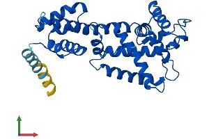 AlphaFold protein structure predicition of Human Recombinant ELMOD2 Protein, UniprotID Q8IZ81 (ELMOD2 Protein (AA 1-293) (His tag))