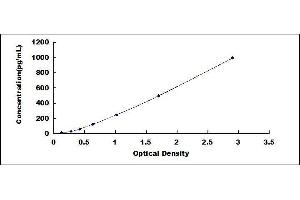 Osteocalcin (BGLAP) ELISA Kit