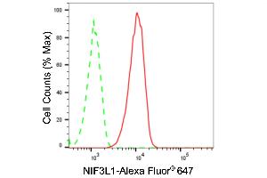 Flow cytometric analysis of NIF3L1 expression in HT- cells using NIF3L1 antibody (ABIN7799600), 1:2,000). (Recombinant NIF3L1 antibody)