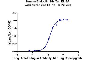 Immobilized Human Endoglin at 5 μg/mL (100 μL/well) on the plate. (Endoglin Protein (ENG) (His-Avi Tag))