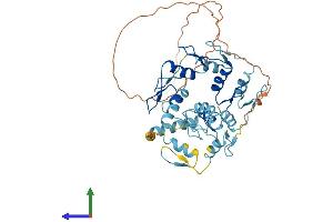 AlphaFold protein structure predicition of Human Recombinant ZNF275 Protein, UniprotID Q9NSD4