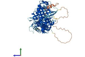 AlphaFold protein structure predicition of Human Recombinant ZWILCH Protein, UniprotID Q9H900
