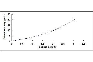 Typical standard curve (SLC18A3 ELISA Kit)