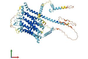 AlphaFold protein structure predicition of Mouse Recombinant Tmc8 Protein, UniprotID Q7TN58