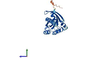 AlphaFold protein structure predicition of Mouse Recombinant Rit2 Protein, UniprotID P70425
