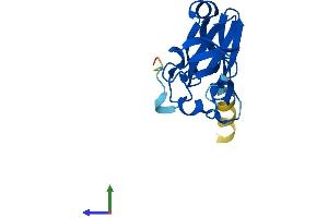AlphaFold protein structure predicition of Mouse Recombinant Rfesd Protein, UniprotID Q8K2P6 (RFESD Protein (AA 1-157) (His tag))