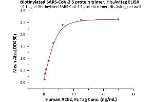 Immobilized Biotinylated SARS-CoV-2 S protein trimer, His,Avitag (ABIN6992367) at 1 μg/mL (100 μL/well) on streptavidin  precoated (0.