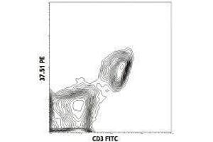 Flow Cytometry (FACS) image for anti-CD28 (CD28) antibody (PE-Cy5) (ABIN2658952) (CD28 antibody  (PE-Cy5))