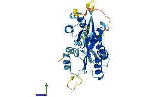 AlphaFold protein structure predicition of Mouse Recombinant Rwdd2b Protein, UniprotID Q99M03 (RWDD2B Protein (AA 1-290) (His tag))