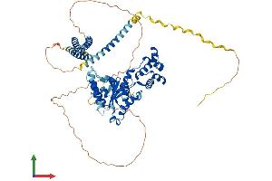 AlphaFold protein structure predicition of Human Recombinant SPAST Protein, UniprotID Q9UBP0