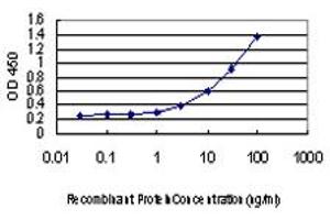 Detection limit for recombinant GST tagged CHMP2B is approximately 1ng/ml as a capture antibody. (CHMP2B antibody  (AA 1-213))