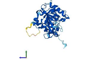 AlphaFold protein structure predicition of Human Recombinant PSMG2 Protein, UniprotID Q969U7