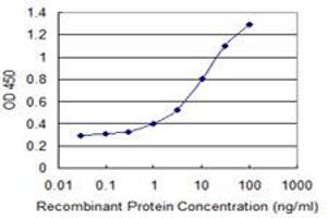 Detection limit for recombinant GST tagged OMP is 0. (OMP antibody  (AA 65-163))