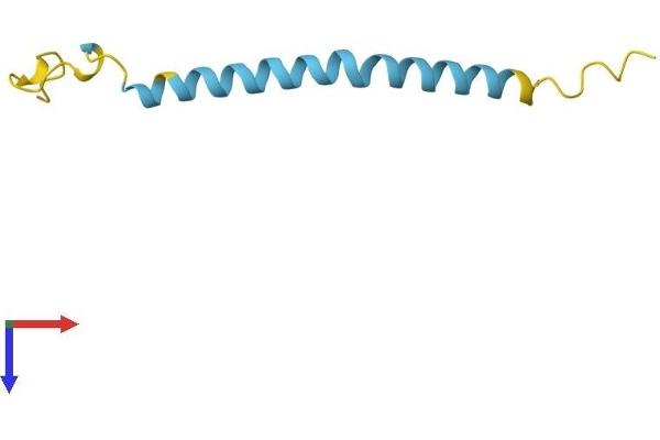 PRNP Protein (AA 1-73) (Fc Tag)