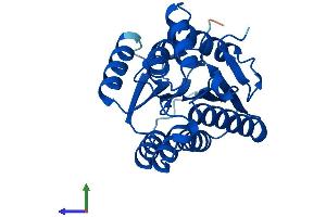 AlphaFold protein structure predicition of Human Recombinant SPR Protein, UniprotID P35270 (SPR Protein (AA 1-261) (His tag))