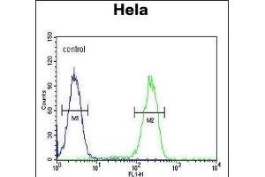 UBA52 Antibody (C-Term) (ABIN654135 and ABIN2844007) flow cytometric analysis of Hela cells (right histogram) compared to a negative control cell (left histogram). (UBA52 antibody  (C-Term))