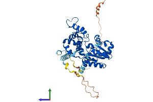 AlphaFold protein structure predicition of Human Recombinant CHST14 Protein, UniprotID Q8NCH0