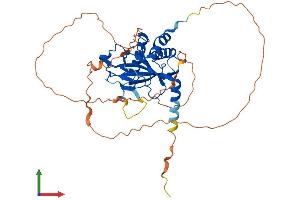 Protein Structure (PS) image for Egl-9 Family Hypoxia Inducible Factor 2 (EGLN2) (AA 1-419) protein (His tag) (ABIN7564819)