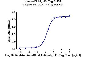 ELISA image for delta-Like 4 (DLL4) (AA 27-524) protein (Fc Tag) (ABIN7274485)