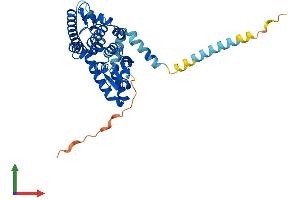 AlphaFold protein structure predicition of Human Recombinant GDAP1 Protein, UniprotID Q8TB36 (GDAP1 Protein (AA 1-358) (His tag))